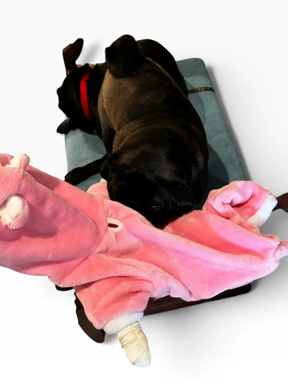 Dog/Cat Halloween Costume  Pink Plush Pig Hooded Dog - Adorable Pet Costume